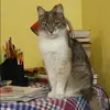 Отзыв от Юлия Шубина